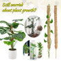 Plant Climbing Rod Climbing Vine Coconut Palm Rod Can Be Bent and Shaped DIY Modeling  Moss Rod Green Dill Gardening Pillar