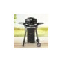BBQ grill, gas stove,gas oven,outdoor BBQ grill with motor,two burners BBQ grill with cover