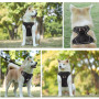Benepaw No Pull Dog Harness No Choke Easy Control Handle Reflective Pet Harness 2 Leash Clips Adjustable Soft Padded Dog Vest