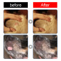 20ml Natural Dog Wart Remover Dog Skin Tags Dog Wart Removal Pet Wart Lotion For Dog Supplies