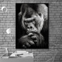 Modern Black Gorilla Canvas Painting Picture Nordic Animal Posters and Prints Monkey Wall Pictures for Living Room Home Decor
