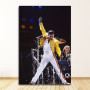 Wall Art Pictures Freddie Mercury Bohemian Rock Music Star Posters And Prints Canvas Painting