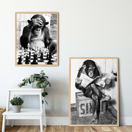 Black White Funny Monkey Read Newspaper Play Chess Poster and Print North Wall Art Canvas Painting