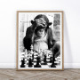 Black White Funny Monkey Read Newspaper Play Chess Poster and Print North Wall Art Canvas Painting