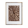 Abstract Wood Log Tree Rings Posters Radial Lines Farmhouse Canvas Painting