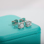 4mm D Color Moissanite Diamond Classic 925 Sterling Silver Stud Earring For Woman Fine Jewelry