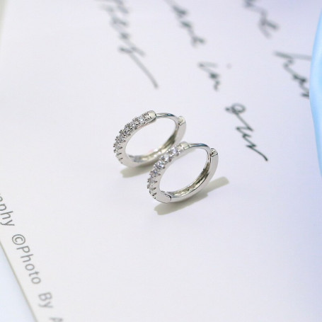 100% 925 Silver Hypoallergenic Earrings Zircon Stud Earring for Women