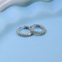 100% 925 Silver Hypoallergenic Earrings Zircon Stud Earring for Women