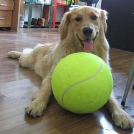 7/8/9.5Inch Dog Tennis Ball Giant Pet Toys for Dog Chewing Toy Signature Mega Jumbo Kids Ball Training Supplies