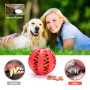 Pet Dog Toy Interactive Rubber Balls for Small Large Dogs Cat Chewing Toys Pet Tooth Cleaning Indestructible Dog Food Balls