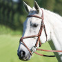 Grackle Bridle hydrobridle Horse equipment horse riding 8218087