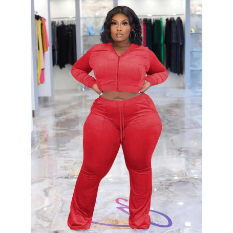 Velvet Plus Size Two Piece Set Women Clothing Hooded Zipper Crop Top+pants