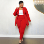 Plus Size Casual Solid Suits Clothing Lapel Cardigan Long Pants Two Piece Sets Women Outfits