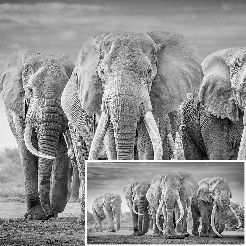 Large Size Modern Elephant Herd Canvas Painting Animals Posters and Prints Black White Wall Picture for Living Room Decoration