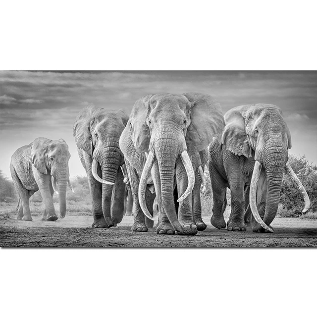 Large Size Modern Elephant Herd Canvas Painting Animals Posters and Prints Black White Wall Picture for Living Room Decoration