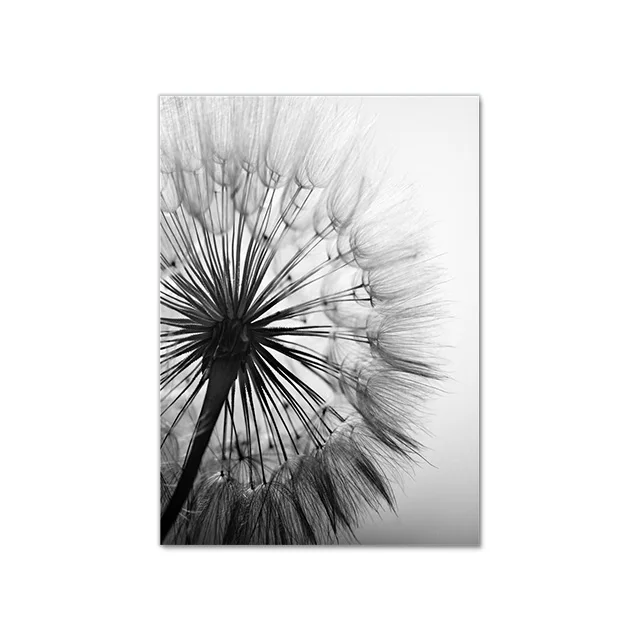 Black White Dandelion Flower Canvas Poster Nature Plant Nordic Print Botanical Wall Art Painting Abstract Picture Room Decoation