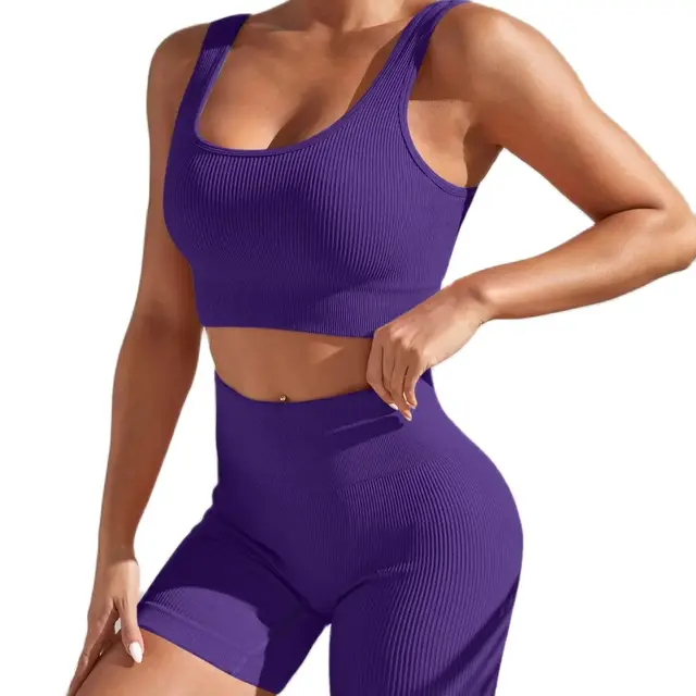 New Arrival Fashion Seamless  Exercise Body-Tight Quick Dry Moisture Absorption High Waist Hip Yoga Fitness Set for Women