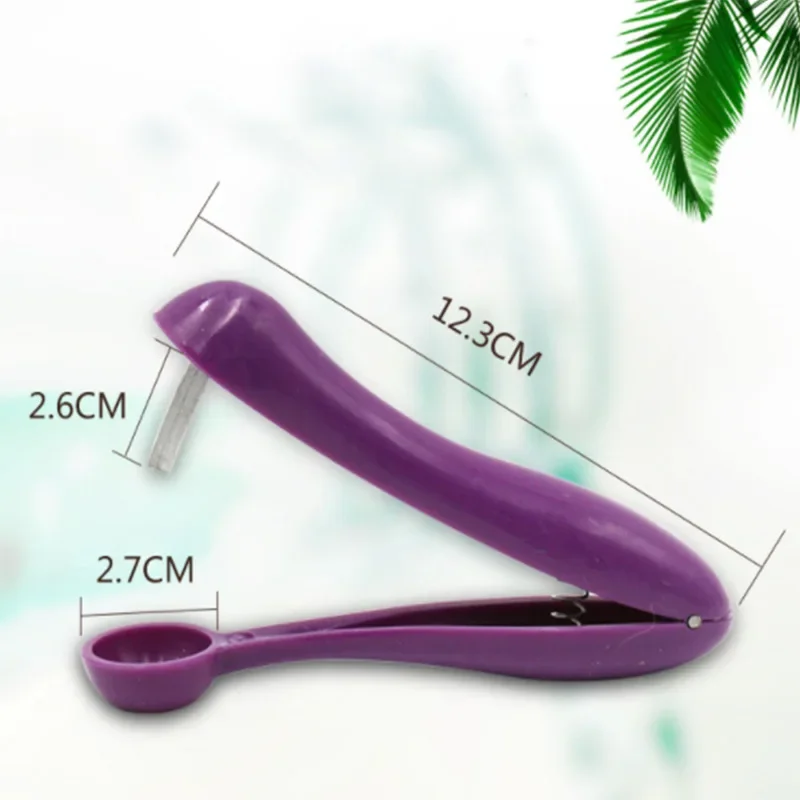 Olive Corer Remove Pit Tool Fruit Kitchen Pitter Remover  Seed Gadge Fruit and Vegetable Tools Cherry Pitter