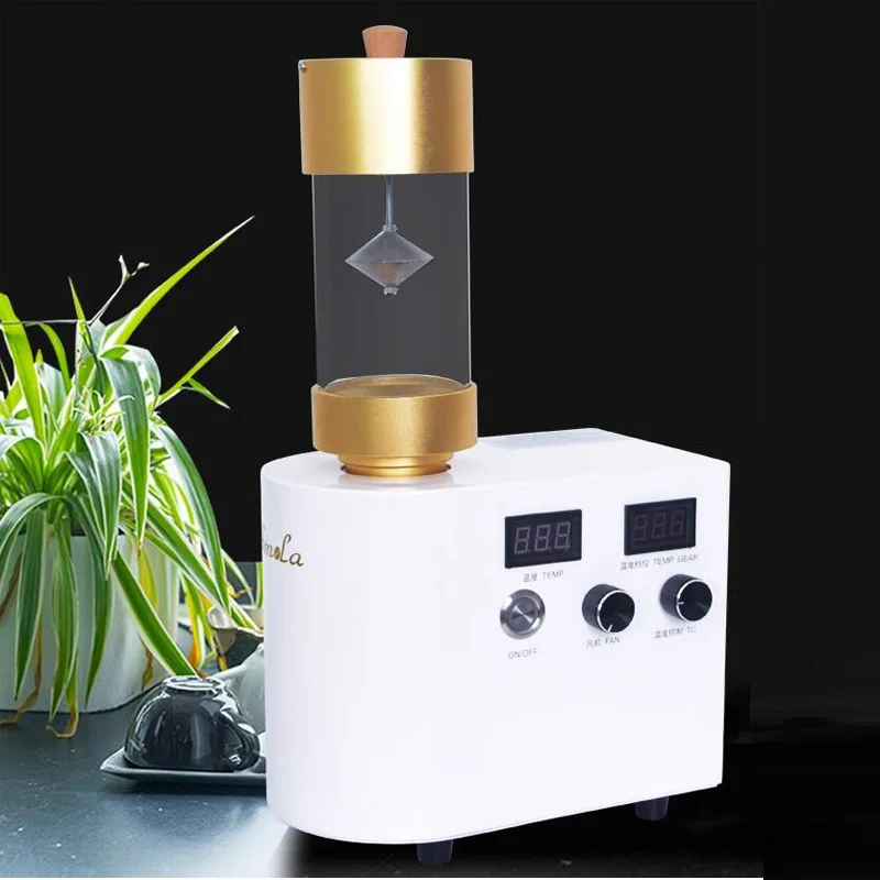 220V Electric 300g Coffee Beans Roasting Machine