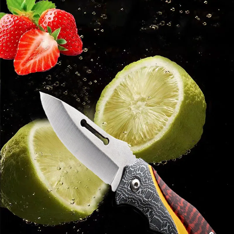 Fruit Knife Folding Pocket Knife Stainless Steel Kitchen Knife Outdoor Survival Knife with Non-slip Portable Camping Knife