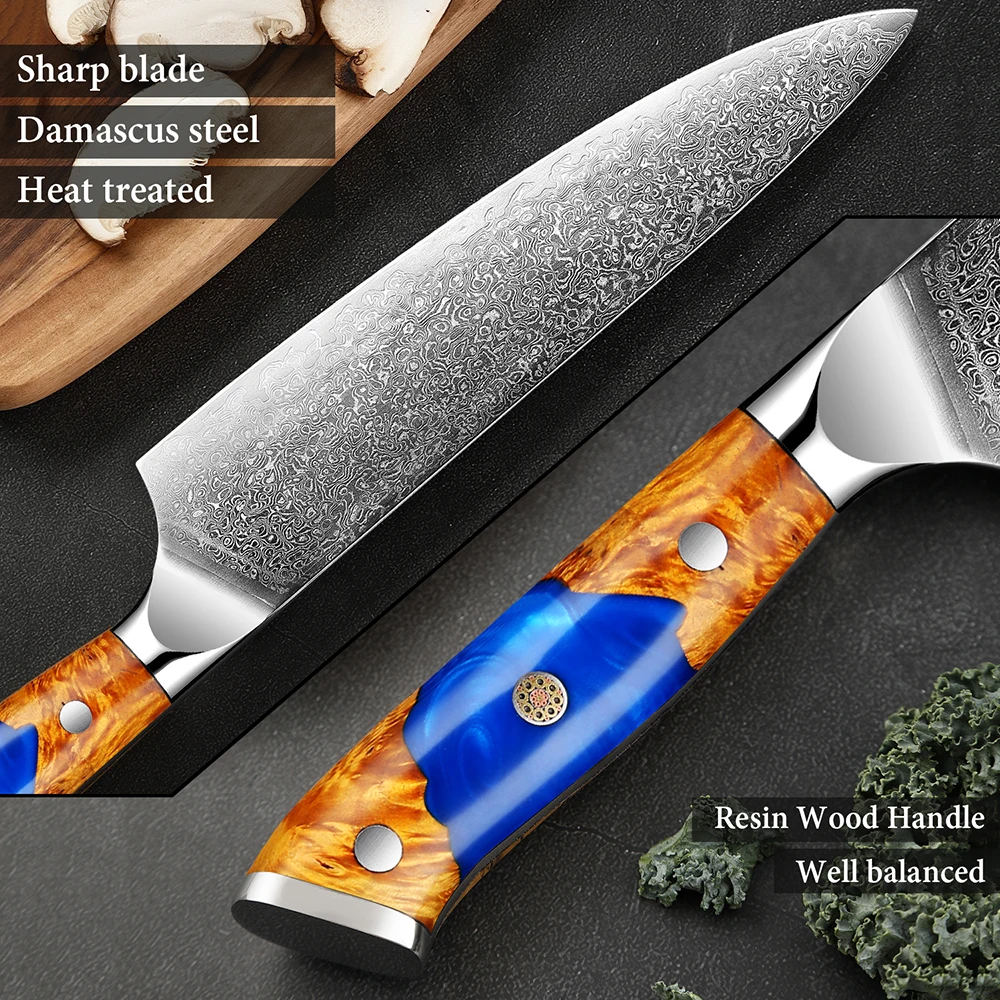 Ultra Sharp Kitchen Knives Japanese VG10 Steel Core Chef Cooking Knife Blue Resin Stabilized Wood Handle Fruit Knives