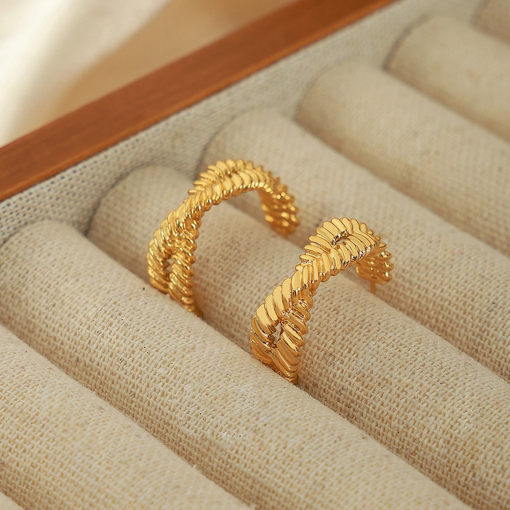 Luxurious Stainless Steel Hoop Earrings Retro Wedding Engagement Aesthetics Jewerly Elegant Women's Twisted Earrings