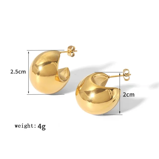 Fashion Jewelry European and American Design Irregular Women Earrings For Girl Party Gifts Trend Ear Accessories