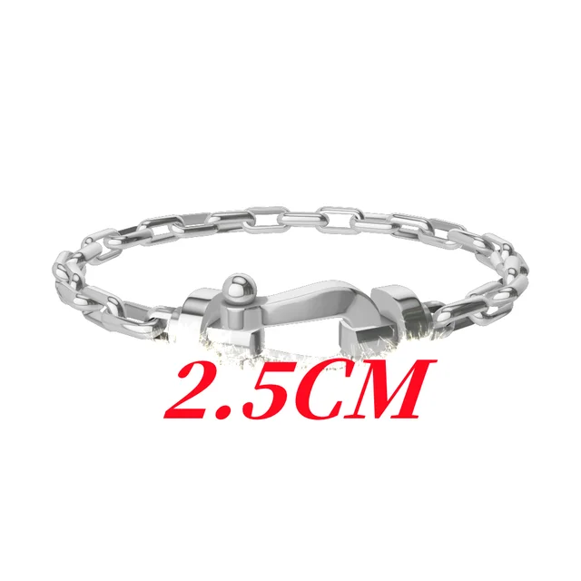 U Shaped Horseshoe Buckle Metal Chain Bracelet 1:1 LOGO Fashion Luxury Jewelry Couple Gift Custom Factory Wholesale