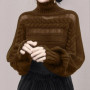 Turtleneck pullover women's autumn and winter 2025 new loose lazy wind outside wear hollow knitted bottoming shirt top