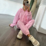 Women's sportswear two pieces set Solid color long sleeved zipper hoodie Elastic lace-up pants Spring female tracksuit suit