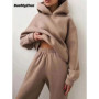 Winter Two Piece Sets Women Tracksuit Oversized Suit 2024 Autumn Trouser Suits Female Sweatshirt Solid Sports Hoodie Sportswear