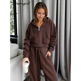 Women Tracksuits Winter Fleece Sweatsuit Brown Warm Crop Zipper Hoodies And Sweatpants Set For Women 2 Piece Velvet Pants Sets