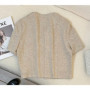 Short-sleeved Blazer Women's Thin Summer New Style Temperament Short Top
