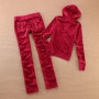 Women's Solid Color Velvet Hooded Suit Casual Outdoor Sportswear with Straight Pants And Velvet Hoodie for Autumn Winter