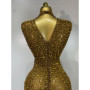 Sparkly Gold Rhinestone Sleeveless Stretch Long Dress Women Sexy Mesh Celebrate Evening Prom Birthday Dress Photo Shoot Wear
