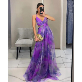 Elegant Print Pleated Mesh Evening Dress Sexy Off Shoulder Ins Vacation Long Dress Summer V Neck High Waist Backless Sling Dress