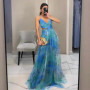 Elegant Print Pleated Mesh Evening Dress Sexy Off Shoulder Ins Vacation Long Dress Summer V Neck High Waist Backless Sling Dress