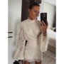 Solid Lace Hollow Out Mini Skirt Set Women Elegant Stand Collar Long Sleeve Shirt Suit 2025 Lady Fashion Commuter Street Outfits