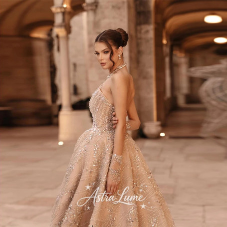 Champagne Tulle A-line Sleeveless Exquisite Slim-Fit Party Evening Prom Dress Astra Lume Customized Gala Grown Bespoke Dress