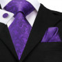 SN-3189 Hi-Tie Men Tie Necktie Brown Ties for Men High Quality Men's Wedding Party Business Classic Hanky Cufflinks Set