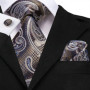SN-3189 Hi-Tie Men Tie Necktie Brown Ties for Men High Quality Men's Wedding Party Business Classic Hanky Cufflinks Set