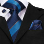 SN-3189 Hi-Tie Men Tie Necktie Brown Ties for Men High Quality Men's Wedding Party Business Classic Hanky Cufflinks Set