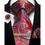 Mens Tie Set Silk Silver Paisley Floral Necktie and Pocket Square Cufflinks Tie Clip Classic Formal Ties for Men Wedding Party