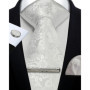Mens Tie Set Silk Silver Paisley Floral Necktie and Pocket Square Cufflinks Tie Clip Classic Formal Ties for Men Wedding Party