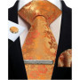 Mens Tie Set Silk Silver Paisley Floral Necktie and Pocket Square Cufflinks Tie Clip Classic Formal Ties for Men Wedding Party