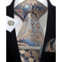 Mens Tie Set Silk Silver Paisley Floral Necktie and Pocket Square Cufflinks Tie Clip Classic Formal Ties for Men Wedding Party