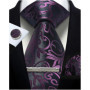 Mens Tie Set Silk Silver Paisley Floral Necktie and Pocket Square Cufflinks Tie Clip Classic Formal Ties for Men Wedding Party