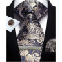 Mens Tie Set Silk Silver Paisley Floral Necktie and Pocket Square Cufflinks Tie Clip Classic Formal Ties for Men Wedding Party