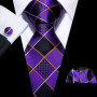 Fashion Silk Purple Solid Mens Wedding Tie Hanky Set Barry.Wang Designer Paisley Floral Neckties For Mens Gift Party Groom