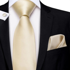 Champagne Ivory Solid 2023 New Elegant Mens Ties Hanky Cufflink Silk Necktie For Men Wedding Party Business Fashion Brand Hi-Tie